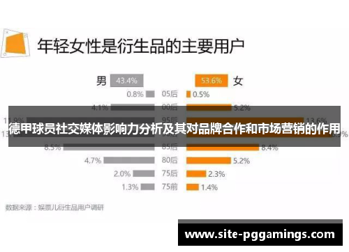 德甲球员社交媒体影响力分析及其对品牌合作和市场营销的作用