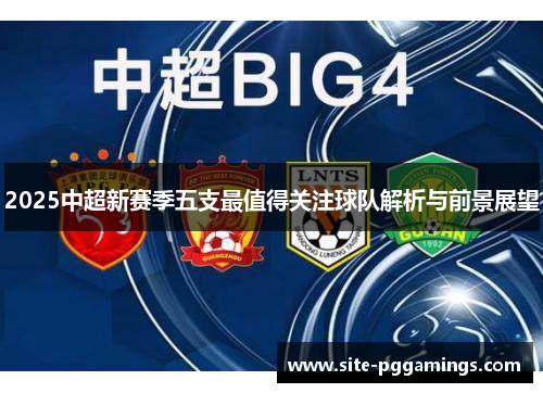 2025中超新赛季五支最值得关注球队解析与前景展望