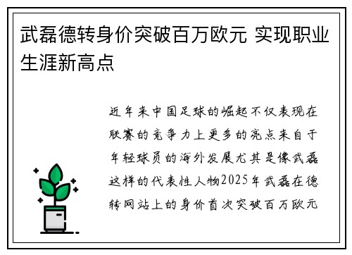 武磊德转身价突破百万欧元 实现职业生涯新高点