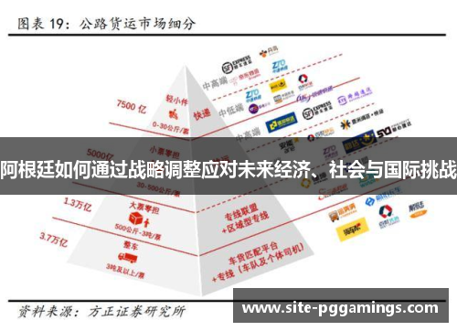 阿根廷如何通过战略调整应对未来经济、社会与国际挑战