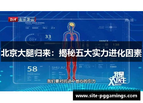北京大腿归来：揭秘五大实力进化因素