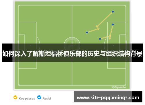 如何深入了解斯坦福桥俱乐部的历史与组织结构背景