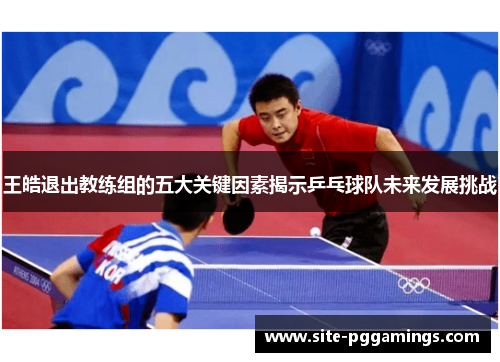 王皓退出教练组的五大关键因素揭示乒乓球队未来发展挑战