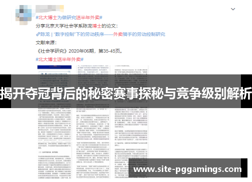 揭开夺冠背后的秘密赛事探秘与竞争级别解析