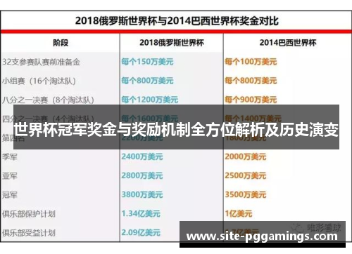 世界杯冠军奖金与奖励机制全方位解析及历史演变