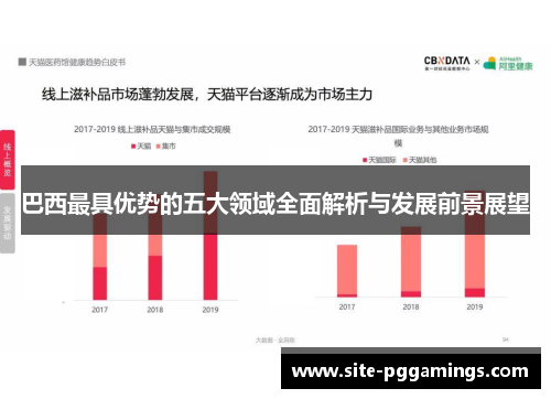 巴西最具优势的五大领域全面解析与发展前景展望