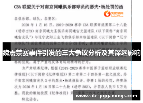 魏震禁赛事件引发的三大争议分析及其深远影响