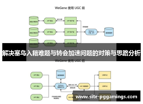 解决塞鸟入籍难题与转会加速问题的对策与思路分析 解决塞鸟入籍难题与转会加速问题的对策与思路分析
