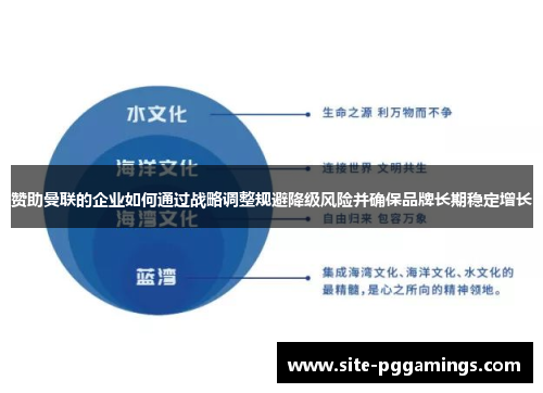 赞助曼联的企业如何通过战略调整规避降级风险并确保品牌长期稳定增长
