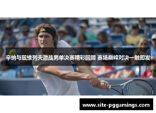 辛纳与兹维列夫激战男单决赛精彩回顾 赛场巅峰对决一触即发