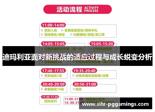 迪玛利亚面对新挑战的适应过程与成长蜕变分析